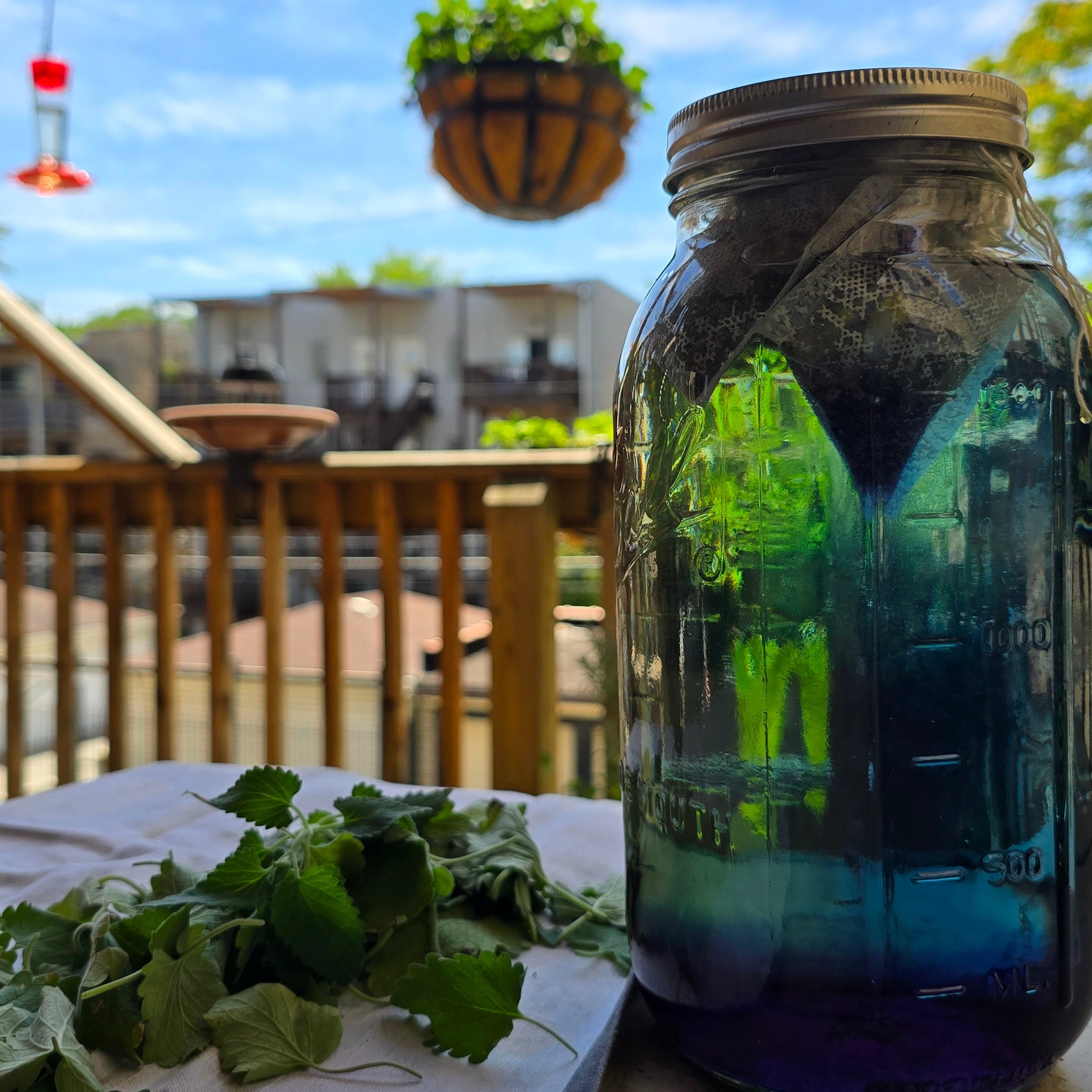 Glass jar with plants on a stone surface against a blue sky